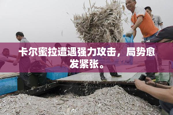 卡尔蜜拉遭遇强力攻击，局势愈发紧张。