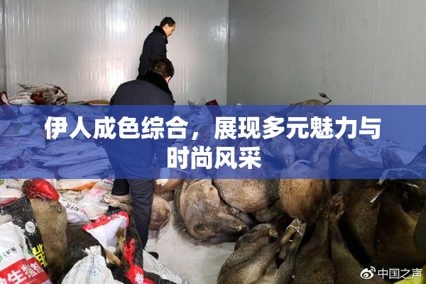 伊人成色综合，展现多元魅力与时尚风采