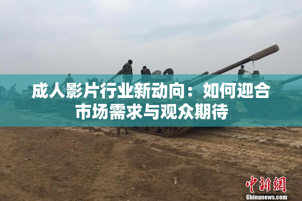 成人影片行业新动向：如何迎合市场需求与观众期待