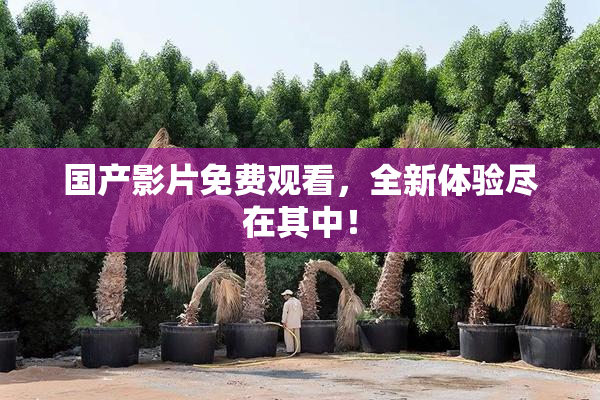 国产影片免费观看，全新体验尽在其中！