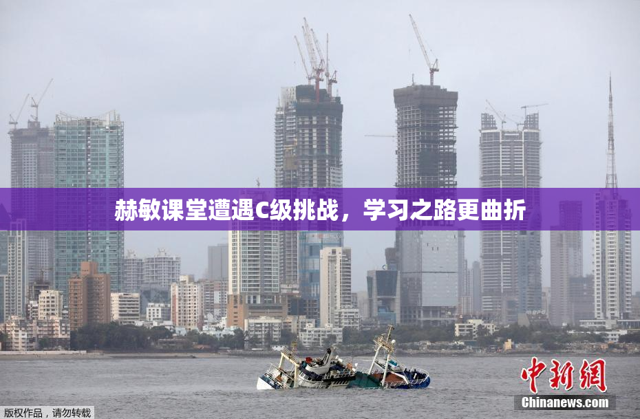 赫敏课堂遭遇C级挑战，学习之路更曲折