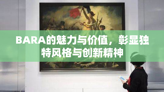 BARA的魅力与价值，彰显独特风格与创新精神
