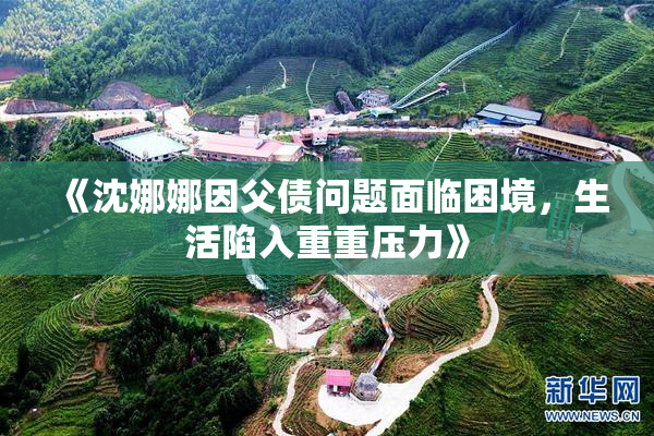 《沈娜娜因父债问题面临困境，生活陷入重重压力》