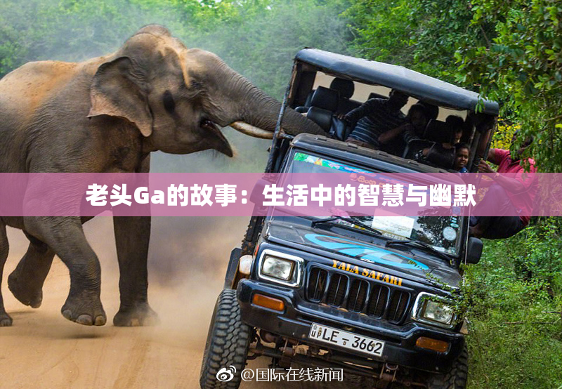 老头Ga的故事：生活中的智慧与幽默