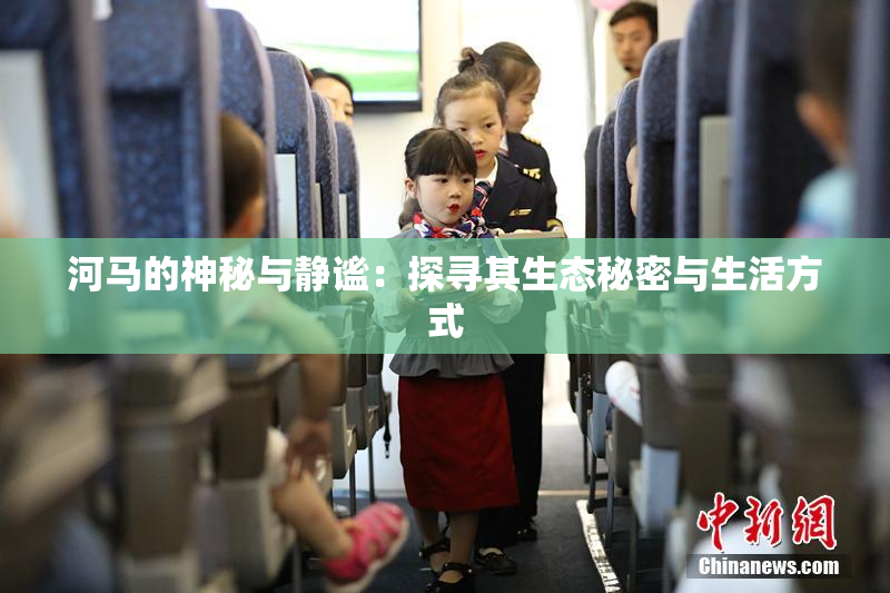河马的神秘与静谧：探寻其生态秘密与生活方式