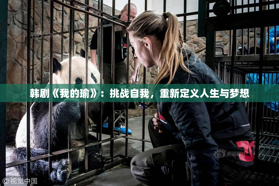 韩剧《我的瑜》：挑战自我，重新定义人生与梦想
