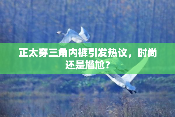 正太穿三角内裤引发热议，时尚还是尴尬？