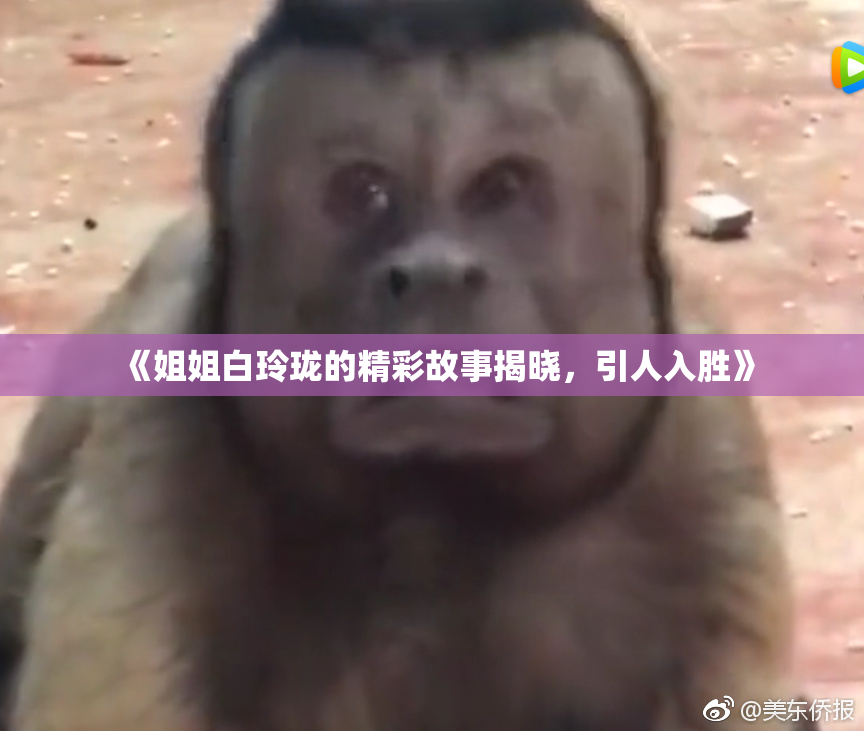 《姐姐白玲珑的精彩故事揭晓，引人入胜》