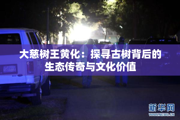 大慈树王黄化：探寻古树背后的生态传奇与文化价值