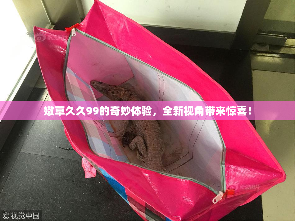 嫩草久久99的奇妙体验，全新视角带来惊喜！