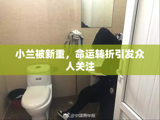 小兰被新重，命运转折引发众人关注