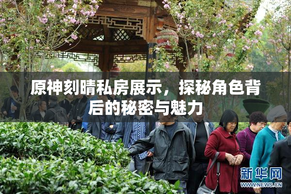 原神刻晴私房展示，探秘角色背后的秘密与魅力