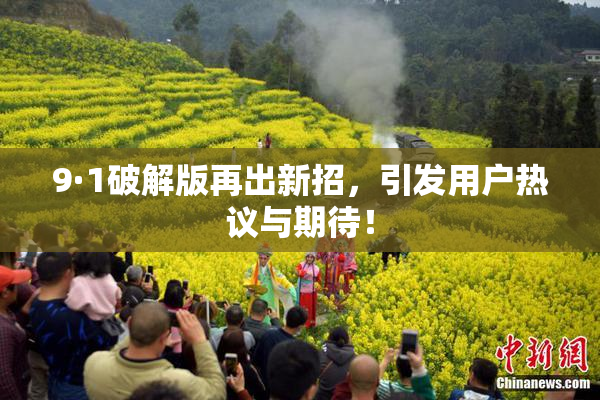 9·1破解版再出新招，引发用户热议与期待！