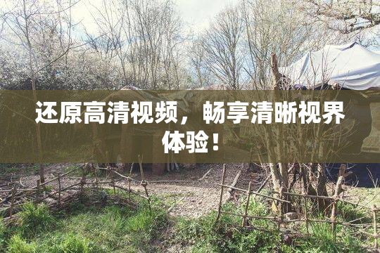 还原高清视频，畅享清晰视界体验！