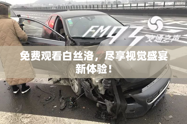 免费观看白丝洛，尽享视觉盛宴新体验！