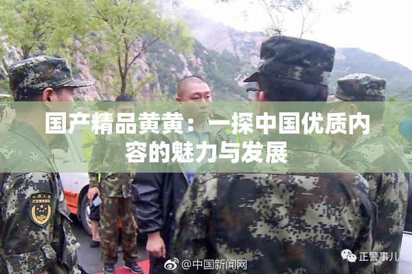 国产精品黄黄：一探中国优质内容的魅力与发展