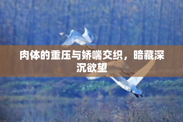肉体的重压与娇喘交织，暗藏深沉欲望