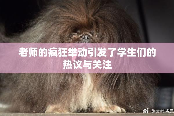 老师的疯狂举动引发了学生们的热议与关注