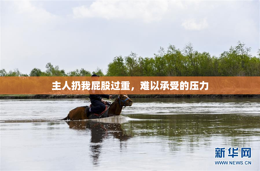 主人扔我屁股过重，难以承受的压力