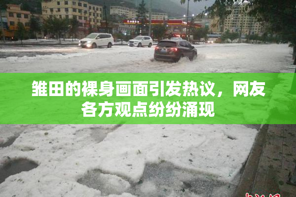 雏田的裸身画面引发热议，网友各方观点纷纷涌现
