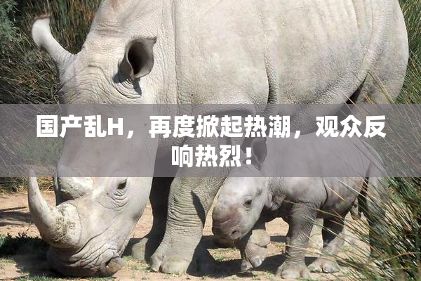 国产乱H，再度掀起热潮，观众反响热烈！