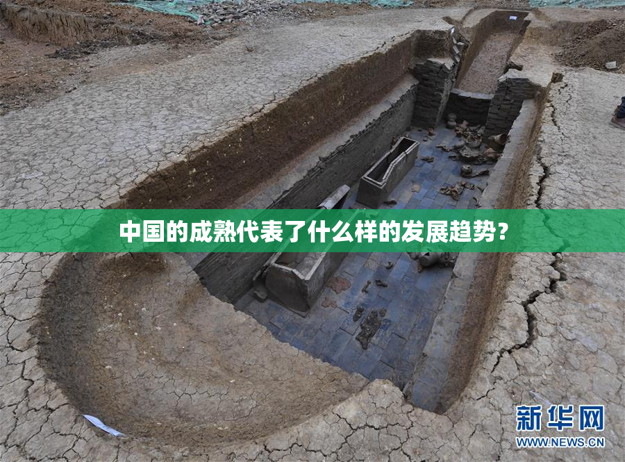 中国的成熟代表了什么样的发展趋势？