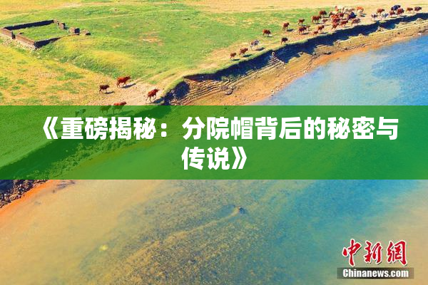 《重磅揭秘：分院帽背后的秘密与传说》