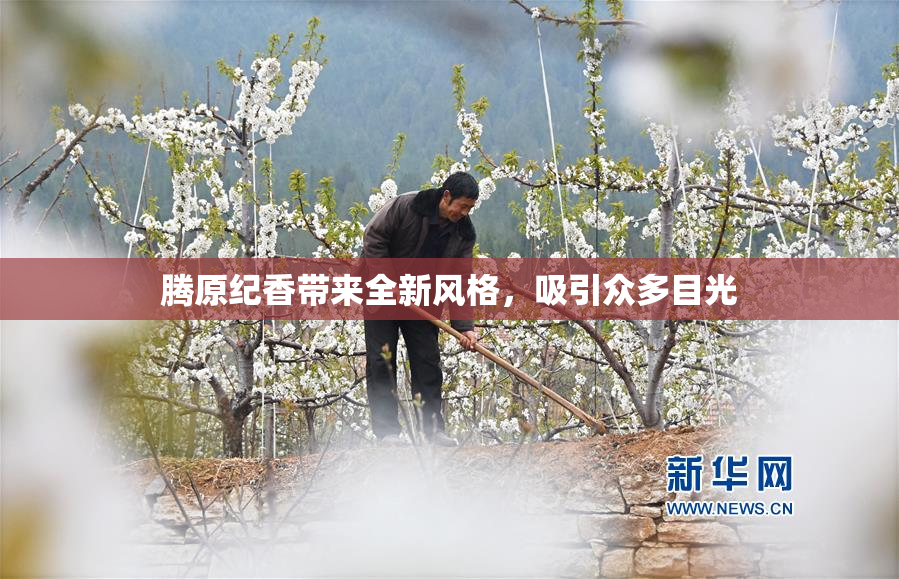腾原纪香带来全新风格，吸引众多目光
