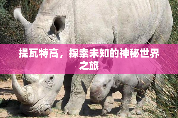 提瓦特高，探索未知的神秘世界之旅