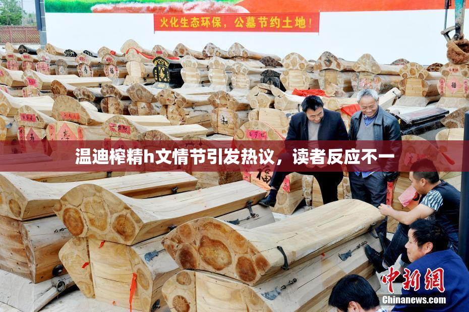温迪榨精h文情节引发热议，读者反应不一