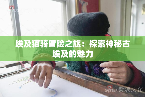 埃及猫骑冒险之旅：探索神秘古埃及的魅力