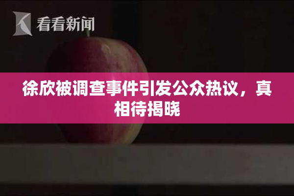 徐欣被调查事件引发公众热议，真相待揭晓