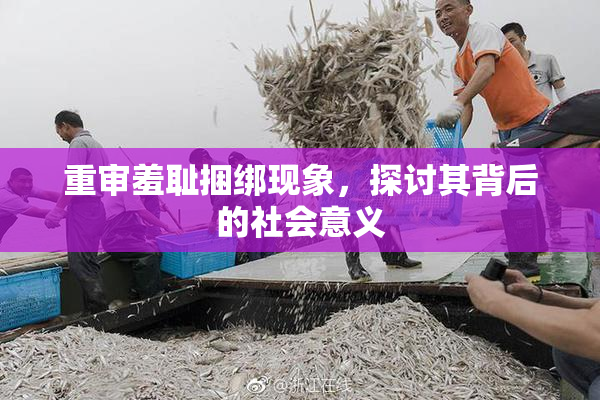 重审羞耻捆绑现象，探讨其背后的社会意义