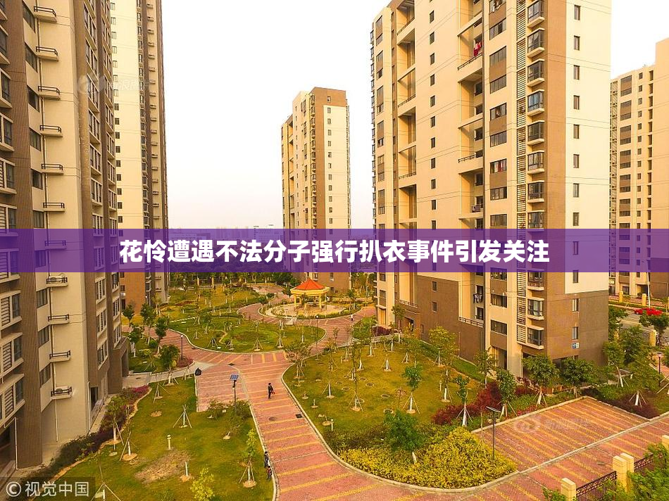 花怜遭遇不法分子强行扒衣事件引发关注