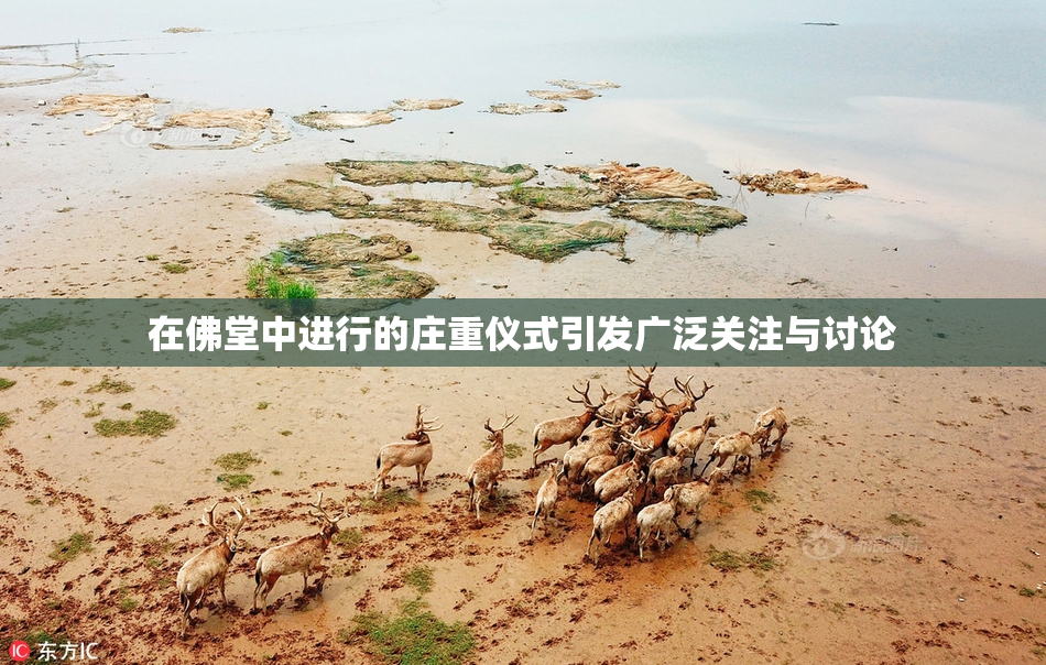 在佛堂中进行的庄重仪式引发广泛关注与讨论