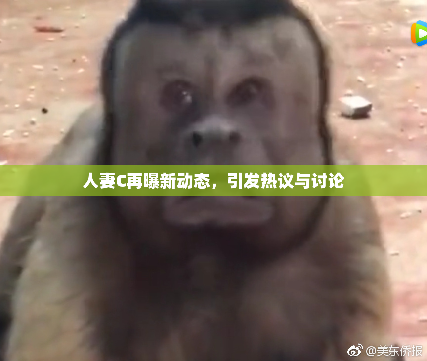 人妻C再曝新动态，引发热议与讨论