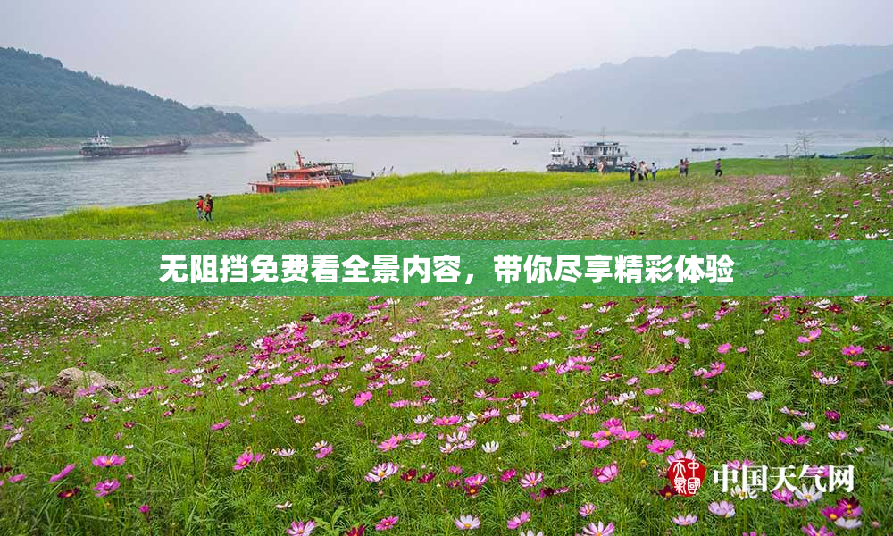 无阻挡免费看全景内容，带你尽享精彩体验