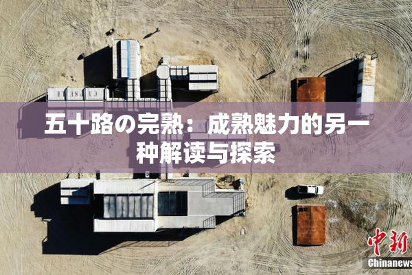 五十路の完熟：成熟魅力的另一种解读与探索
