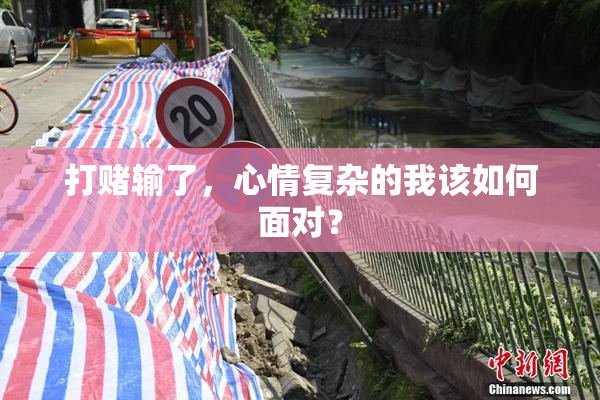 打赌输了，心情复杂的我该如何面对？