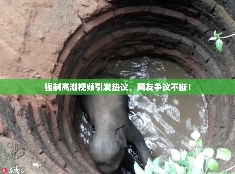 强制高潮视频引发热议，网友争议不断！