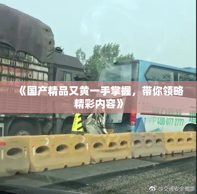 《国产精品又黄一手掌握，带你领略精彩内容》