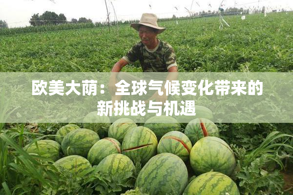 欧美大荫：全球气候变化带来的新挑战与机遇