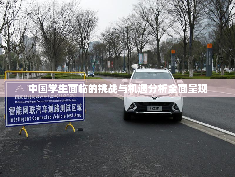 中国学生面临的挑战与机遇分析全面呈现