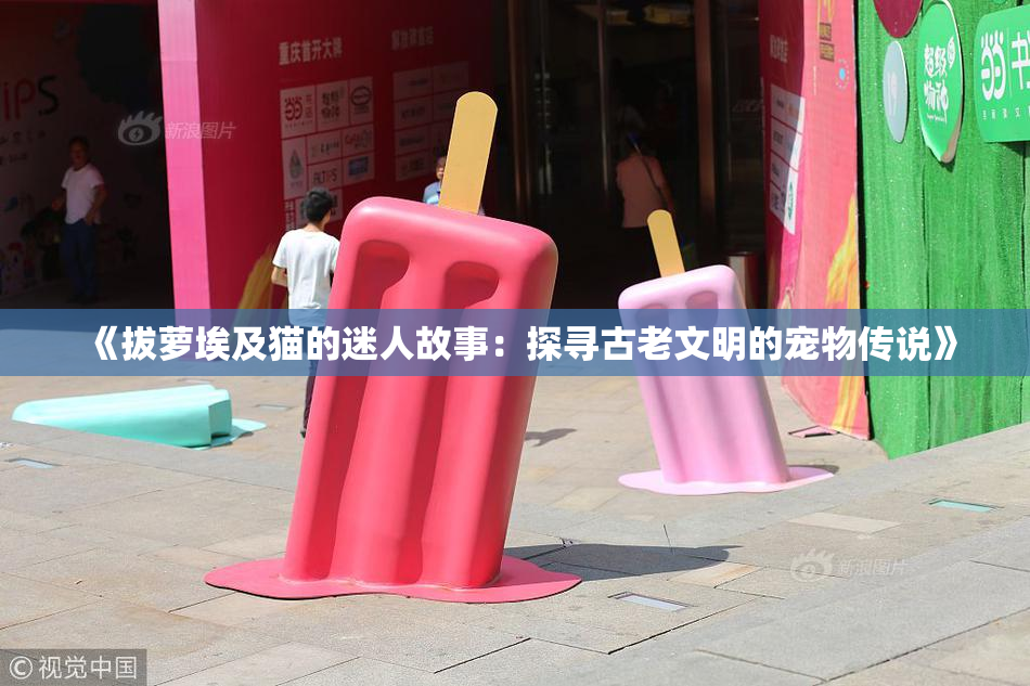 《拔萝埃及猫的迷人故事：探寻古老文明的宠物传说》