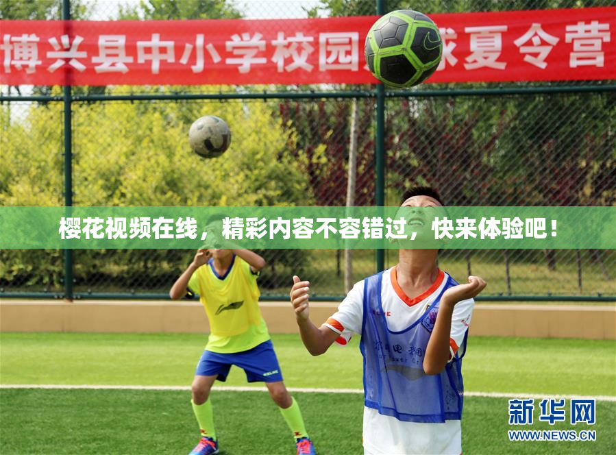 樱花视频在线，精彩内容不容错过，快来体验吧！