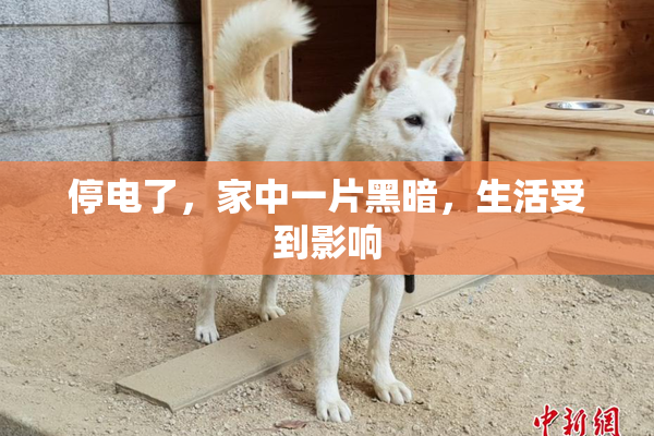 停电了，家中一片黑暗，生活受到影响