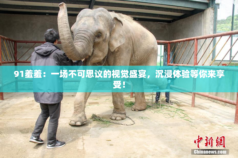 91羞羞：一场不可思议的视觉盛宴，沉浸体验等你来享受！
