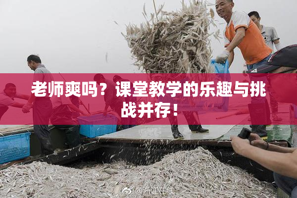老师爽吗？课堂教学的乐趣与挑战并存！
