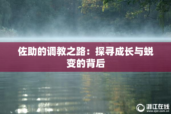佐助的调教之路：探寻成长与蜕变的背后