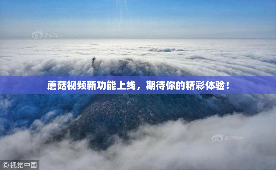 蘑菇视频新功能上线，期待你的精彩体验！